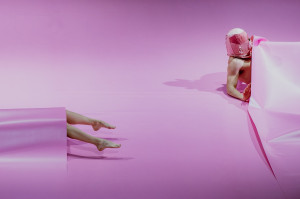 Zdjęcie Kij, drążek, dildo 