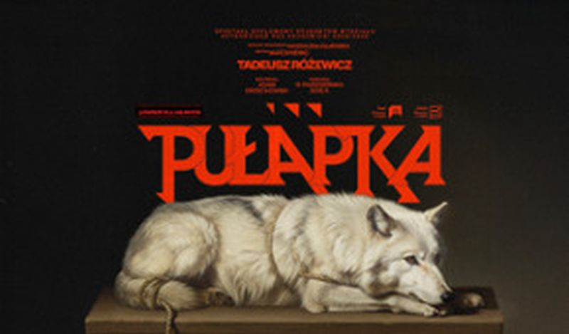 Zdjęcie Łódź. Ofiarny baranek czy bestia? Wkrótce premiera teatralnego dyplomu Szkoły Filmowej