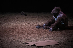 Autentik Zdjęcie Autentik