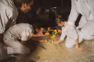 Zdjęcie Na granicy pamięci i prawdy