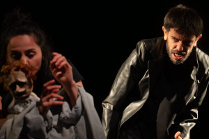 Zdjęcie O ptaku niebieskim 