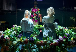 Zdjęcie Erudycja, intelektualna głębia i wysublimowany humor