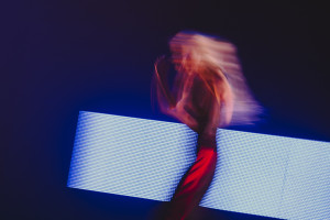 Zdjęcie Danses Vagabondes