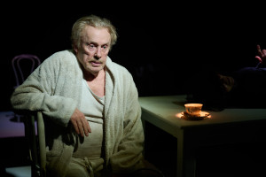 Zdjęcie Przebłyski jak Feniks