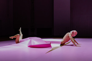 Zdjęcie Okiem Widza: Teach Me Not!