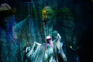 Zdjęcie Podarowany koń