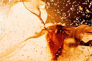 Zdjęcie Tonąc w bieli