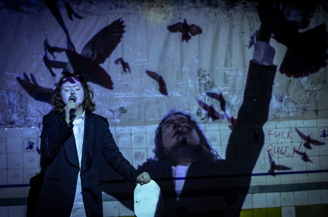 Zdjęcie Non est avis columba