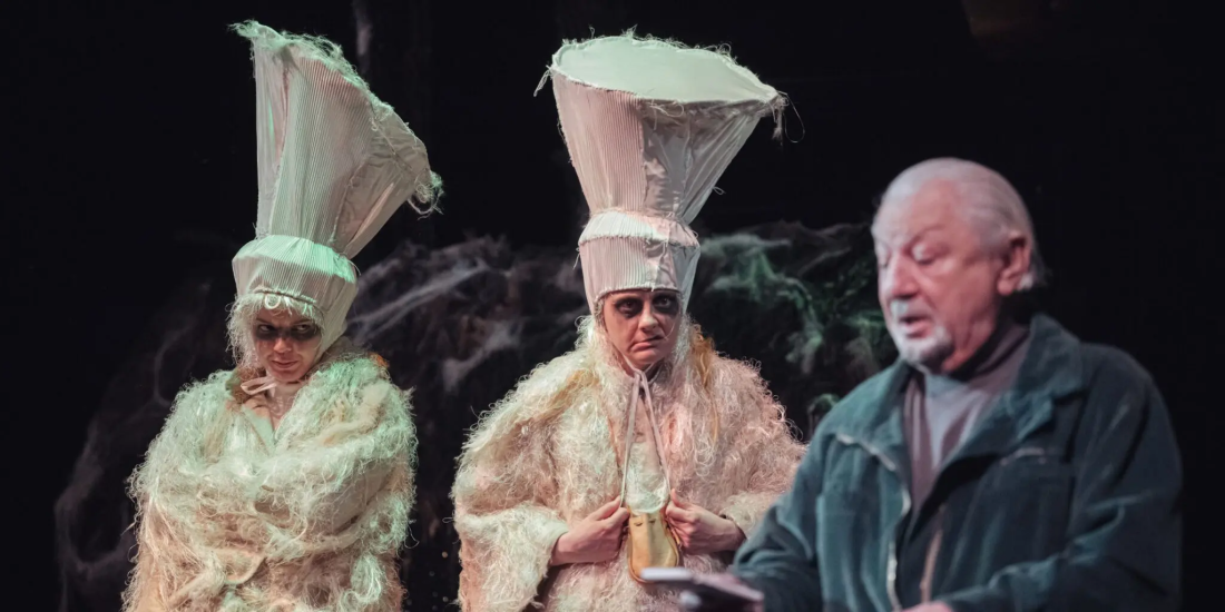 Zdjęcie Południce nie mogą zasnąć