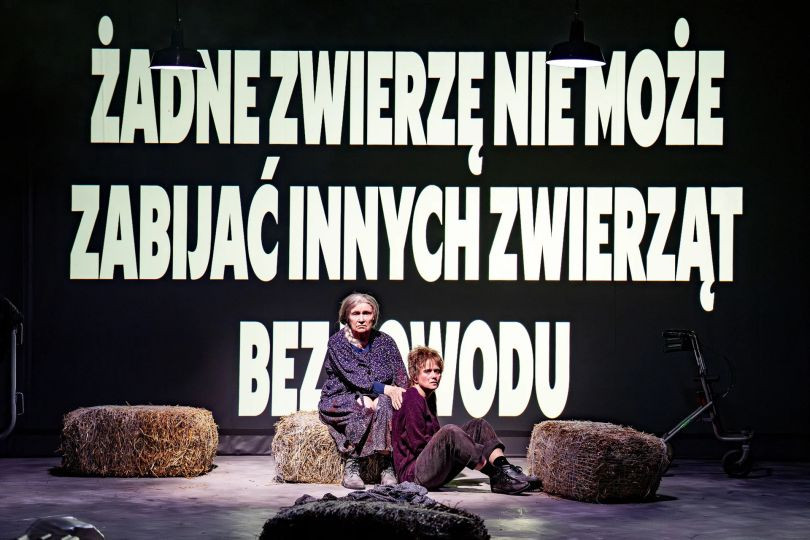 Zdjęcie Folwark zwierzęcy we wrocławskim Teatrze Polskim