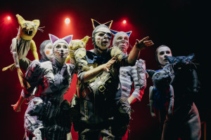 Zdjęcie Kryminalny musical na kocią nutę