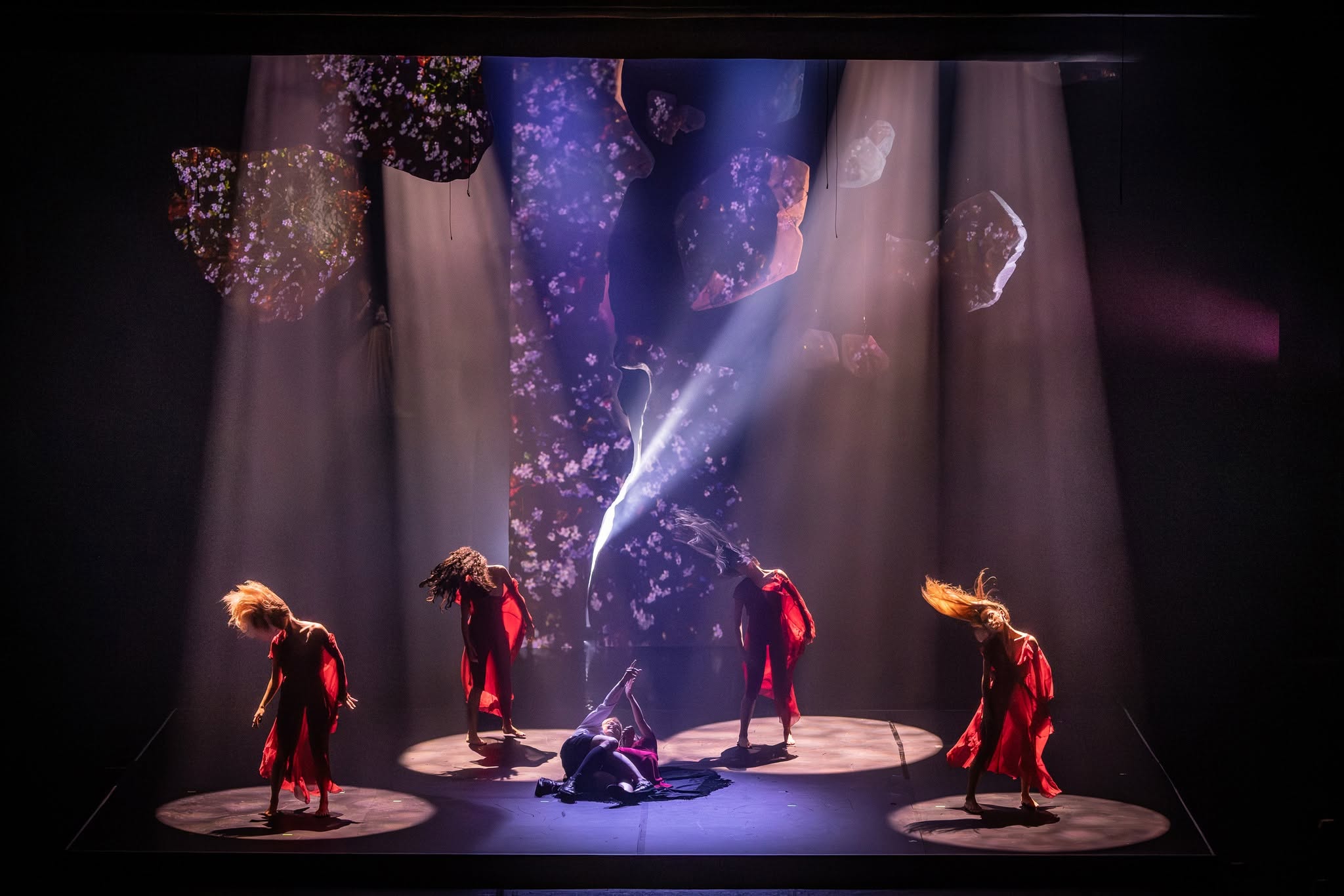 Zdjęcie Opera Bałtycka w Gdańsku